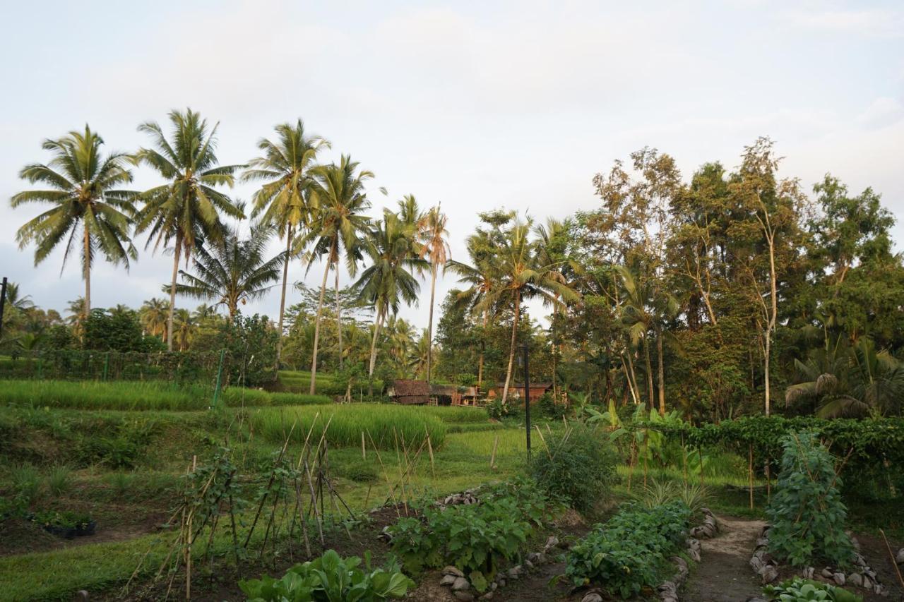 Resort Beingsattvaa Luxury